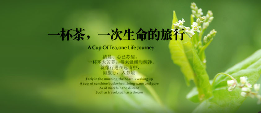 奧德隆集團(tuán)